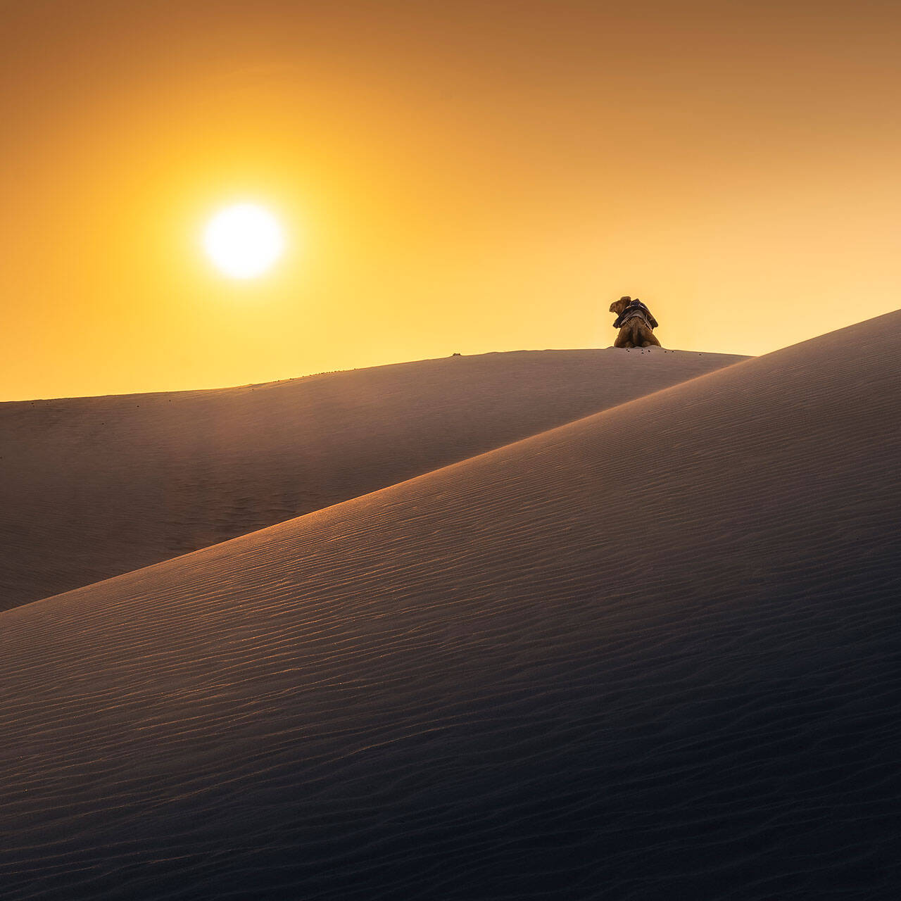 Zaheq, Sand Dunes, Socotra Island